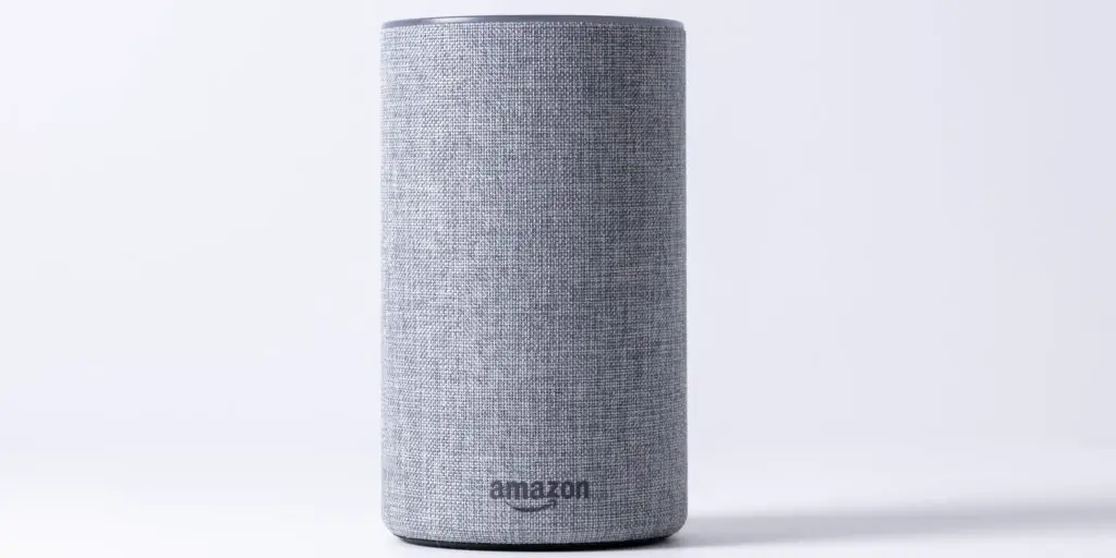 físicamente Contar Electrizar Por qué Amazon Echo está haciendo girar una luz azul: 4 soluciones - Ana y  Sonia Estetica